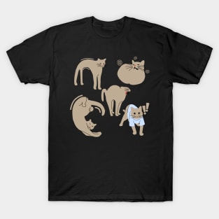 Funny Lazy Cat T-Shirt